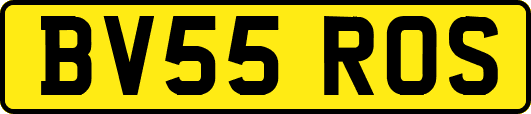 BV55ROS