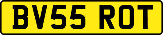 BV55ROT