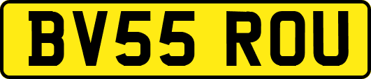 BV55ROU