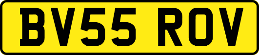 BV55ROV