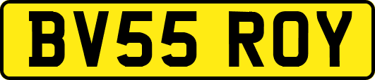 BV55ROY