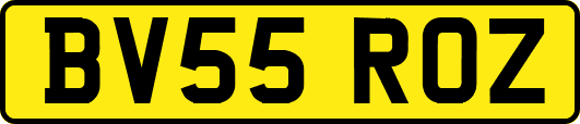 BV55ROZ