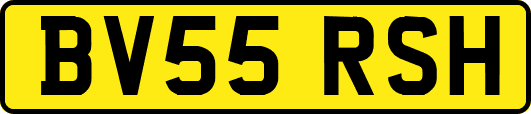 BV55RSH
