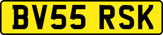 BV55RSK