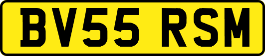 BV55RSM