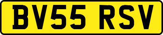 BV55RSV