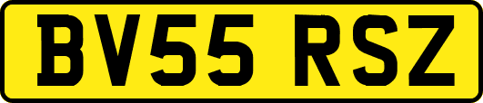 BV55RSZ