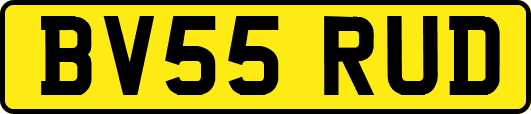 BV55RUD