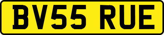 BV55RUE