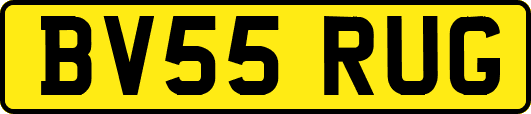 BV55RUG