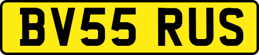BV55RUS