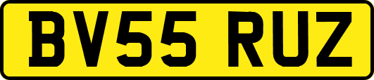 BV55RUZ