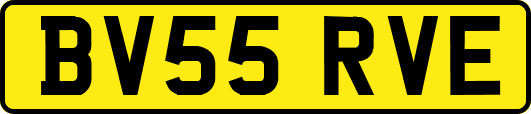 BV55RVE