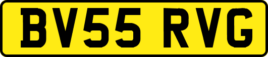 BV55RVG