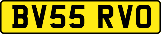 BV55RVO
