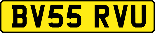 BV55RVU