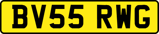BV55RWG