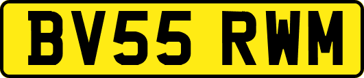 BV55RWM