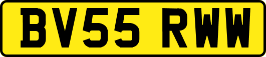 BV55RWW