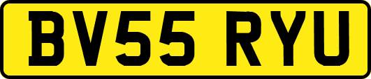 BV55RYU
