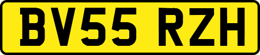 BV55RZH