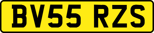 BV55RZS