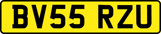 BV55RZU