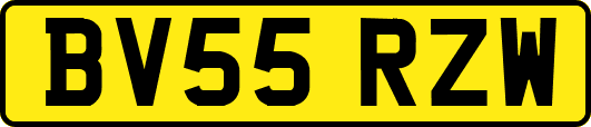 BV55RZW