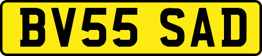 BV55SAD