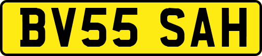 BV55SAH