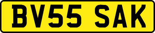 BV55SAK