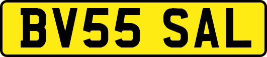 BV55SAL