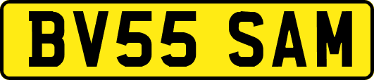 BV55SAM