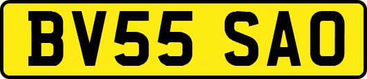 BV55SAO