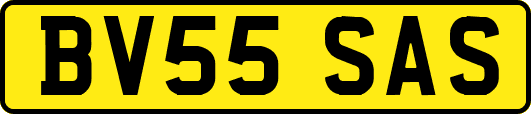 BV55SAS