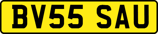 BV55SAU