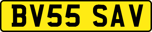 BV55SAV