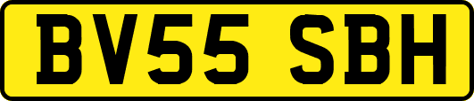 BV55SBH