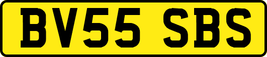 BV55SBS