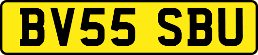 BV55SBU