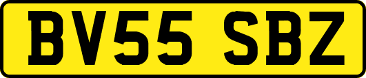 BV55SBZ
