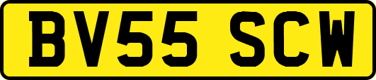 BV55SCW