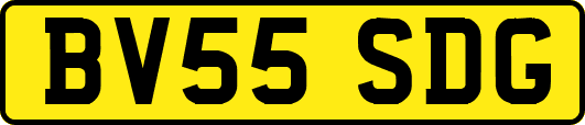 BV55SDG