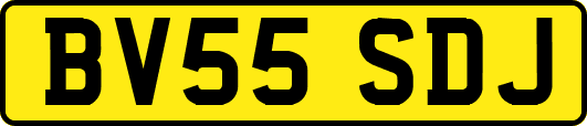 BV55SDJ