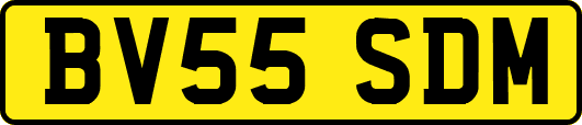 BV55SDM
