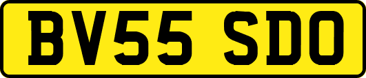 BV55SDO