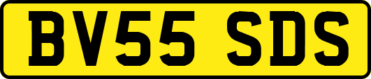 BV55SDS