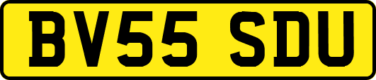 BV55SDU