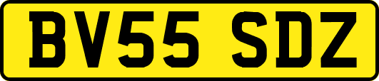 BV55SDZ
