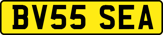 BV55SEA